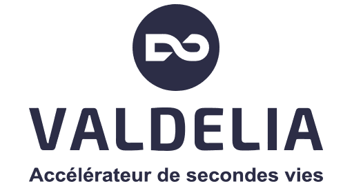 Logo-valdelia